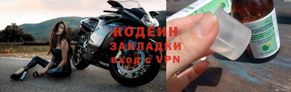 прущие грибы Балабаново