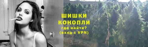 прущие грибы Балабаново