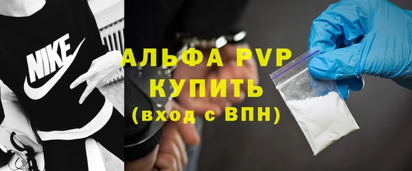 прущие грибы Балабаново