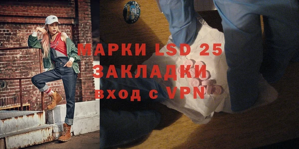 прущие грибы Балабаново