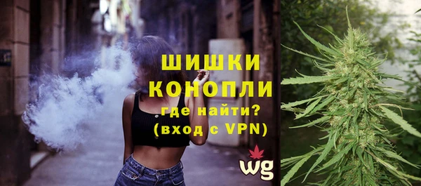 прущие грибы Балабаново