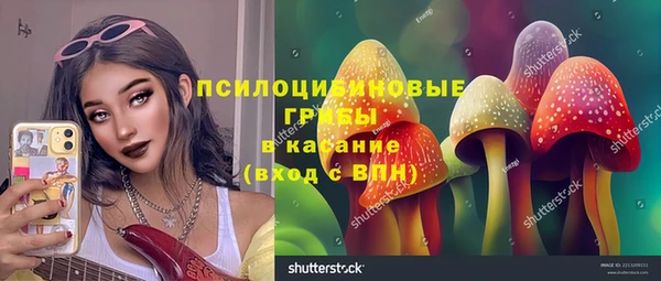 прущие грибы Балабаново