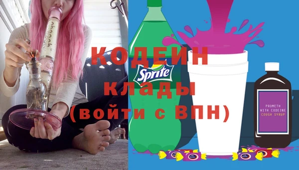 прущие грибы Балабаново