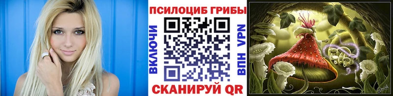 Псилоцибиновые грибы MAGIC MUSHROOMS  цена   Бор 